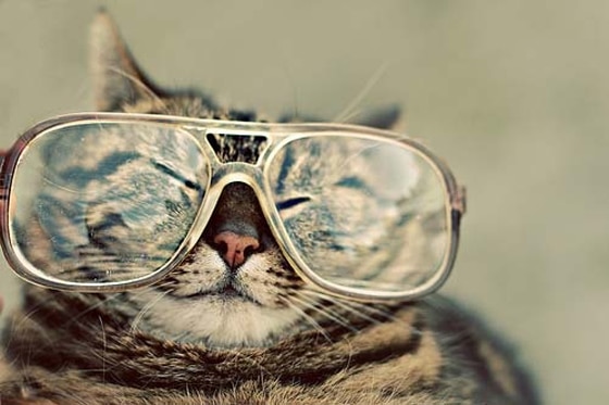 The Best Resources to Improve Your Call-To-Action
