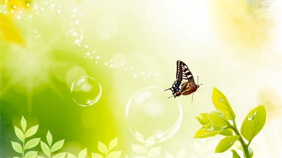 Using Design Principles to Increase Conversions