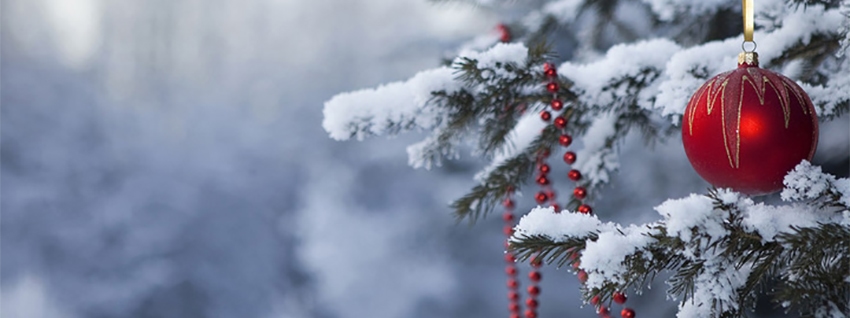 Guide to Running a Holiday Email Marketing Campaign