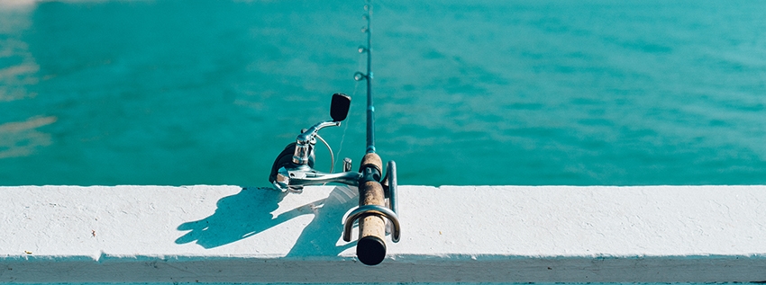 The 4-Point Approach to Writing an Effective Blog Post for Your Business