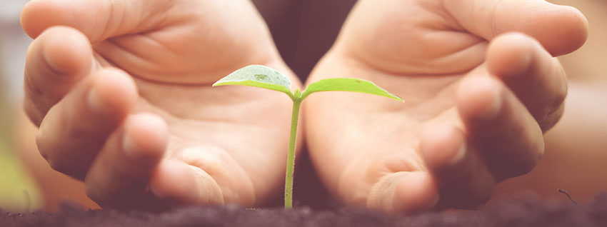 The Definitive Guide to Agency Marketing Automation