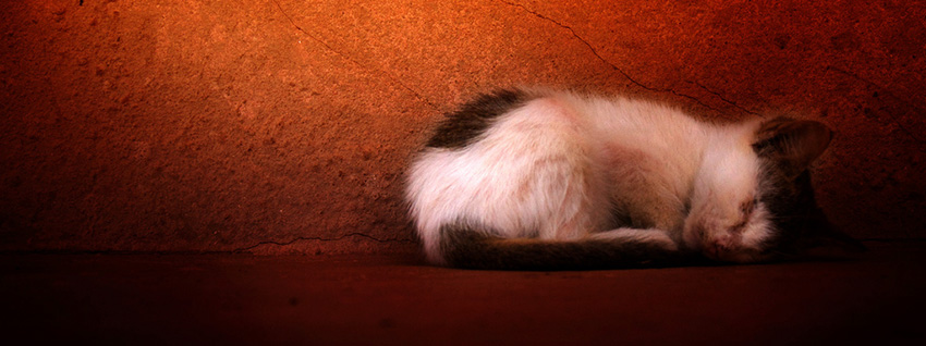 The Power of Vulnerability in Copywriting