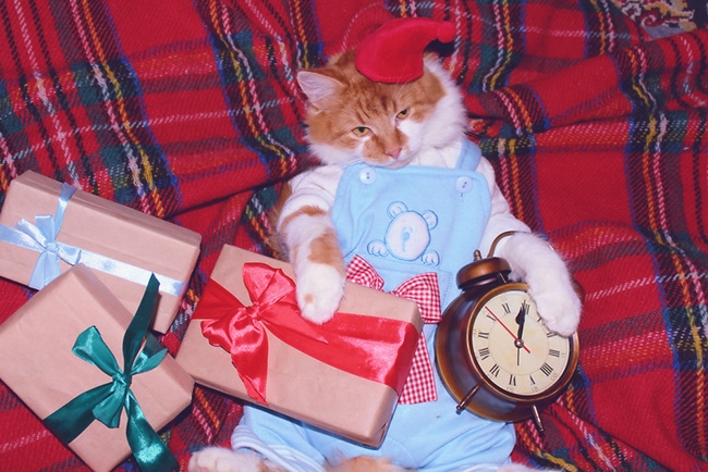 The 12 Days of Christmas