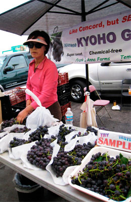 Why Stealing Grapes is Good for Your Form Conversions [Case Study]