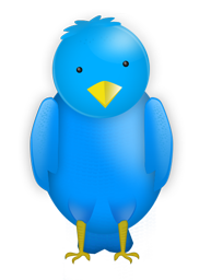 What is a Twitter Landing Page?