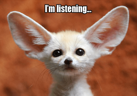 11 New User Feedback Posts You Shouldn’t Miss